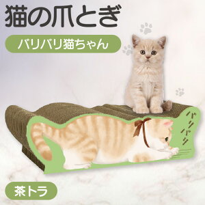 yӂ邳Ɣ[ŁzL̒܂Ƃ ooLyIׂ9ށzɂ񂱂̊G NtgH[ NA L ܂Ƃ ybgpi ybgpߋ pi RpNg ˂ 