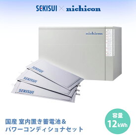 【ふるさと納税】国産セル 蓄電池 ・ パワーコンディショナー セット【 Enneagram 】 メイドインジャパン 国産蓄電池 室内置き 防災 防災用品 積水化学工業 と ニコチン 共同開発 非常時用 震災 日用品 工業製品 家庭用 送料無料