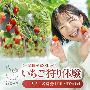 �y�ӂ邳�Ɣ[�Łz�y���Ԍ���z�_�e���r�ŏЉ��܂����I�^ 2~3�i���䕂�H�ה�ׁI���������̌��@�y���Ԃ��I���z�@��l1���� � ���W���[ ����C�x���[�g�ق��� �͕P �ʎ� �t���[�c ��