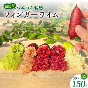 yӂ邳Ɣ[ŁzVoԂԐHItBK[CyIׂe 50gE100gE150kgz20i̒{3iȏĂ͂I t[c C I[XgAY̊k k 