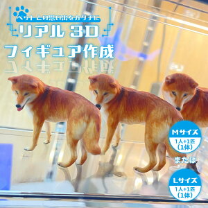 yӂ邳Ɣ[Łzy񕍑OɗЂKvȕԗiłzybgƂ̎voJ^` A3DtBMA 쐬y1l{ybg1CzyTCYIтz؂ȃybgƈꏏɁItJ