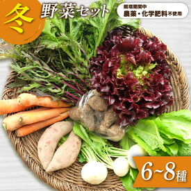 【ふるさと納税】 野菜 冬野菜 セット 6〜8種類 [Dvege 愛知県 江南市 ko23btu130002] 詰め合わせ 季節野菜 国産 旬 葉野菜 根菜 人参 大根 キャベツ 白菜 ラディッシュ レタス バターナッツかぼちゃ スティックカリフラワー さつまいも 里芋