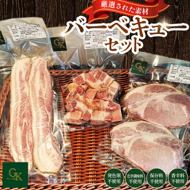 【ふるさと納税】化学調味料等無添加 バーベキューセット ／ バーベキュー BBQ ベーコン 無化調 岩塩 アンデス紅塩 豚 豚肉 ステーキ ポーク ベーコンステーキ ロースステーキ ベーコンサイコロステーキ 酒の肴 つまみ くんせい 燻製 肉加工品 添加物不使用 無添加 No.227