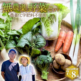 【ふるさと納税】栽培期間中農薬化学肥料不使用　旬のココニコ無農薬野菜セット 7～8品 ／ 野菜 やさい 新鮮 旬 採れたて おいしい 産地直送 産直 露地栽培 こだわり 定番野菜 伝統野菜 めずらしい野菜 フレッシュ 送料無料 愛知県 No.272