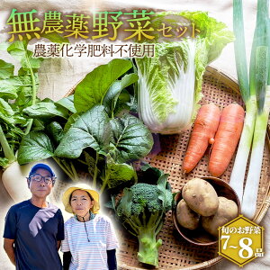 【ふるさと納税】栽培期間中農薬化学肥料不使用 旬のココニコ無農薬野菜セット 7〜8品 / 野菜 やさい 新鮮 旬 採れたて おいしい 産地直送 産直 露地栽培 こだわり 定番野菜 伝統野菜 め