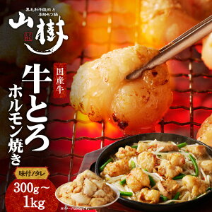 yӂ邳Ɣ[ŁzY ƂzĂ 300g / 600g / 1kg yeʂIׂz t ^ vv  X^ z   R BBQ Ăǂ ς m qs Ⓚ 