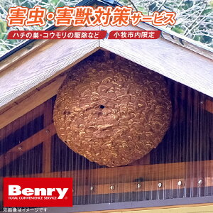 �y�ӂ邳�Ɣ[�Łz�Q���쏜 �Q�b�΍� ��s�T�[�r�X ���q�s�� �n�`�̑��쏜 �I �ђ� �a�Q�� �R�o�G �n�G�ގ� �R�E�����쏜 �쏜 ���A�� �x�����[���� ���q�����X �y��� ��� ���܂��� ���S 