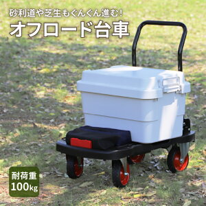 yӂ邳Ɣ[ŁzIt[h  ב ω׏d 100kg Hɋ Ȓi ܑH y s\ OXgbp[t ׃Yh~ m[pN^C̗p ^t  AEghA 艟