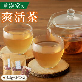 【ふるさと納税】草漢堂の爽活茶　［ 健康茶 薬膳茶 漢方茶 ブレンドティー ハーブティー ハッカ マイカイカ ］