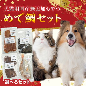 【ふるさと納税】厳選素材 犬猫用 国産 無添加 選べる おやつ セット 鯛 松阪牛肺 名古屋コーチン むね肉 レバー ペットフード ペット用品 ドッグフード キャットフード 犬 猫 ジャーキー エサ お取り寄せ 愛知県 小牧市 送料無料