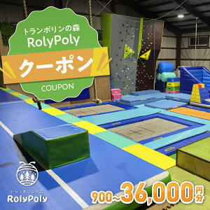 yӂ邳Ɣ[Łzwg|̐X RolyPolyxŎgN[| 900~~36000~