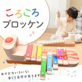 【ふるさと納税】ころころブロッケン 鉄琴 知育玩具 E-TOO