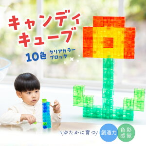 【ふるさと納税】Candy Cube クリアカラーブロック 知育玩具 E-TOO