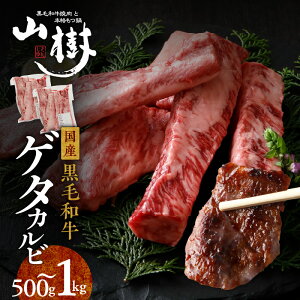 yӂ邳Ɣ[ŁzR јa Q^Jr  a    Jr Iׂ  500g 1kg Y  |  Z   y IWiuh RVE ʓY ^ t 