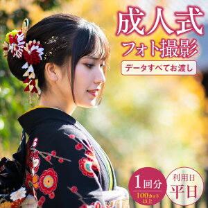 【ふるさと納税】成人式 前撮り 撮影チケット 平日撮影 100カット以上撮影 写真 フォト 思い出 記念 成人 二十歳 成長記録 記念写真 写真撮影 スタジオ撮影 完全プライベート空間 写真データ