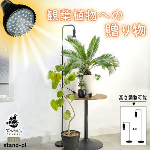 yӂ邳Ɣ[ŁzA 琬 LED Cg Stand-PL 5W  \ Vv CeA G ACg c X^h ƕs  ϗtA A  ł炢 m qs 