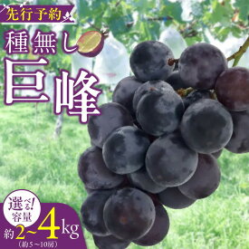 【ふるさと納税】種無し 巨峰 2026年 先行予約 容量 選べる 2kg 3kg 4kg 種なし ぶどう 愛知県 小牧市 送料無料
