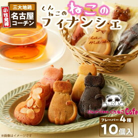【ふるさと納税】くんねこ ねこのフィナンシェ 10個入り 名古屋コーチン プレーン ショコラ 紅茶 ラズベリー アーモンドパウダー 四葉バター デザート スイーツ おやつ お菓子 洋菓子 朝採れ卵使用 お取り寄せ ギフト 愛知県 小牧市 送料無料