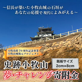【ふるさと納税】【返礼品なし】 織田信長 築いた 小牧山城 石垣 復元 支援 歴史遺産 プロジェクト 信長 ゆかりの城 再建 保存 活用 整備 修復 応援 寄附観光資源 歴史的価値 継承 まちづくり 史跡小牧山 夢 チャレンジ寄附金