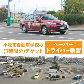 【ふるさと納税】小牧市自動車学校 ペーパードライバー 教習 1時限分 チケット 1枚 路上コース 小牧市内 観光スポット巡り 初心者 サポート 運転 不安解消 ドライビングレッスン 自動車学校 愛知県 小牧市 送料無料