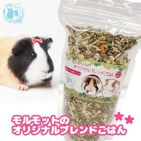 【ふるさと納税】fuu うまうまセレクション モルモットのオリジナルブレンドごはん 容量 選べる　［ やさいプラス 小動物用 バランス 栄養食 ペットフード 餌 えさ エサ ］