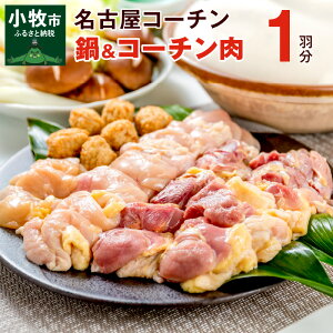 記事番号:35704/アイテムID:320553の画像
