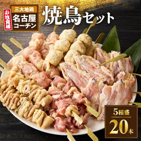 【ふるさと納税】名古屋コーチン 焼き鳥 地鶏 5種 20本 セット もも むね 手羽中 皮 つくね 串 焼鳥タレ 鶏 食べ比べ 濃厚な旨味 歯ごたえ バーベキュー アウトドア 串焼き 焼き鳥串 おつまみ お取り寄せ グルメ 冷凍 愛知県 小牧市 送料無料