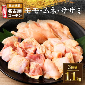 yӂ邳Ɣ[ŁzÉR[` 3퐷 1.1kg 喞Zbg  ނ˓  n{ { {On{ 悢e KxȎ RN |   l ē ₫Ƃ { e