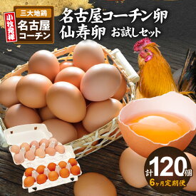 【ふるさと納税】定期便 6ヶ月 名古屋コーチン 卵 仙寿卵 お試し セット 各 10個 入り × 6回 計120個 朝食 卵料理 卵かけご飯 卵焼き 目玉焼き 河瀬養鶏 地鶏 お取り寄せ お取り寄せグルメ 愛知県 小牧市 送料無料