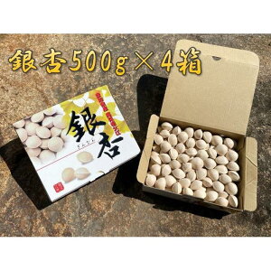 yӂ邳Ɣ[Łz c]̂Ȃ 2kg ( 500g × 4 ) 嗱 c_ | yTVŏЉ܂Iz ₳ Hi lC  