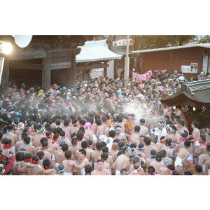 yӂ邳Ɣ[Łzyߘa8N31()JÁzV̊Ձu{{͂ՁvȂʎV~ȁi1lj