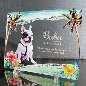 yӂ邳Ɣ[ŁzybgAtHgv[gyv[gI\FS16z