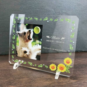 yӂ邳Ɣ[ŁzybgAtHgv[gyv[gI\FS16z