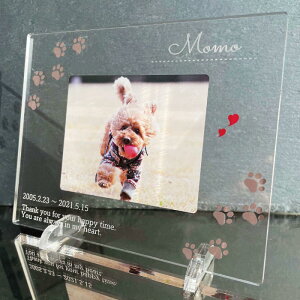 yӂ邳Ɣ[ŁzybgAtHgv[gyv[gI\FS16z