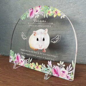 yӂ邳Ɣ[ŁzybgAtHgv[gyv[gI\FS16z