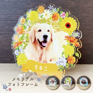 yӂ邳Ɣ[ŁzyAtHgt[`t[`S4@ʏTCY@t[I\z