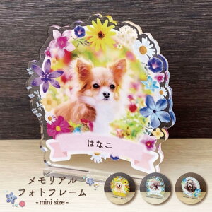 yӂ邳Ɣ[ŁzyAtHgt[`t[` S4/~jTCY@t[I\z