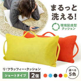 【ふるさと納税】リ：フラッフィー・クッション ショートタイプ 2個セット（レッド／イエロー／ブルー／ブラック／オレンジ） / クッション 洗える 枕 抱き枕 姿勢サポート / 稲沢市 / 株式会社グローアップ[BMAP001]