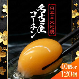 【ふるさと納税】【選べる内容量】名古屋コーチン 卵 （40個／120個）（保証含） / 卵 たまご 玉子 鶏卵 大容量 / 稲沢市 / 櫛田養鶏場[BMAY001]