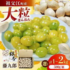 【ふるさと納税】【選べる内容量】 銀杏 祖父江のぎんなん （1kg／2kg） / 大粒 藤九郎 おつまみ 殻付き / 稲沢市 / 光田農園[BMBA001]