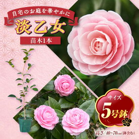 【ふるさと納税】椿 「淡乙女-うすおとめ-」 5号鉢 苗木 / 植物 椿名花 花 苗 鉢植え / 稲沢市 / 椿園株式会社[BMBI008]