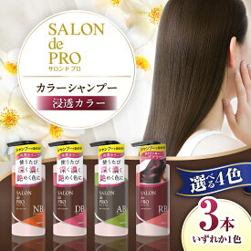 【ふるさと納税】【選べるカラー】 ダリヤ サロンドプロ カラーシャンプー 3個セット＜ナチュラルブラウン/ダークブラウン/アッシュブラウン/ローズブラウン＞ / 稲沢市 / 日興商事株式会社[BMBK004]