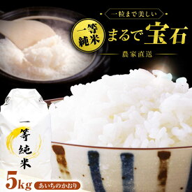【ふるさと納税】【選べる発送月】一等純米 あいちのかおり 5kg / 米 お米 精米 白米 一等米 愛知県産 国産米 / 稲沢市 / 有限会社ハシモト耕販[BMBP002]
