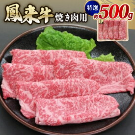 【ふるさと納税】特選鳳来牛(焼き肉用) ふるさと納税限定品　約500g【配送不可地域：離島・北海道・沖縄県・東北・中国・四国・九州】【1209527】