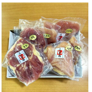 yӂ邳Ɣ[ŁzmVY@O͐Ԍ{ZbgyzsnFzy1665760z