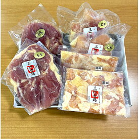 【ふるさと納税】愛知県新城産　三河赤鶏こだわりセット【配送不可地域：離島】【1665761】