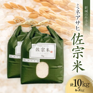 yӂ邳Ɣ[Łzm:VsYy@ă~lATqz10kg (5kg×2)y1556382z