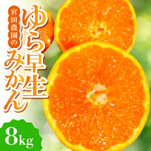 yӂ邳Ɣ[Łzy瑁z{c_̉B݂@8kgy1353530z