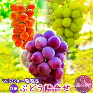 yӂ邳Ɣ[Łzy2026Ns\Eʌz储܂IԂǂl 2kg (͔|16i̒茵I) 2026N8{`