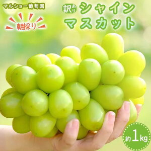 yӂ邳Ɣ[Łzy2026Ns\Eʌẑ VC}XJbg 󂠂i 1kg2026N8{`